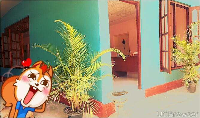 Apple Sara Home Stay Kandy Kültér fotó